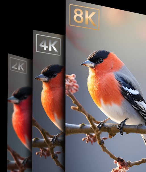 云顶pg官网入口登录